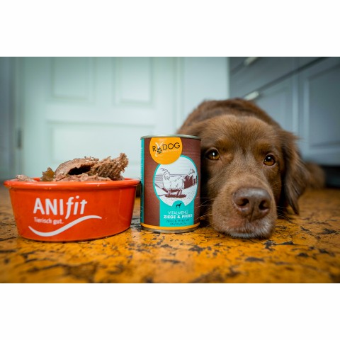 Hund Nassfutter RyDog Ziege&Pferd 400g 6 Stück -6- Anifit